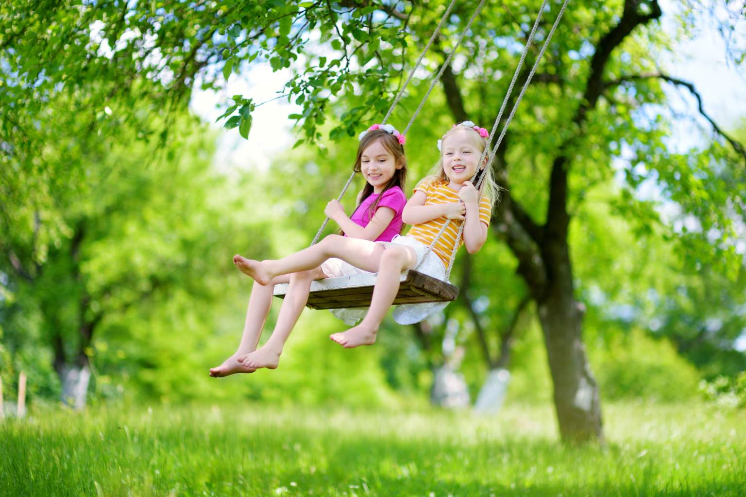 Children on a swing